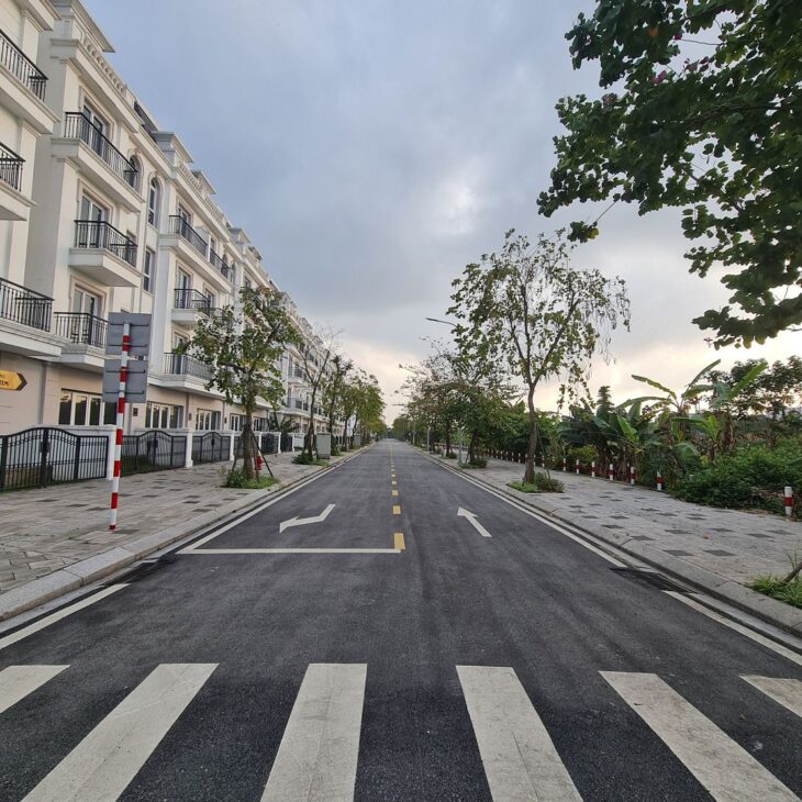 61m2 đất Tái định cư Trâu Quỳ, Gia Lâm, Hà Nội. Đường 13m đầu tư. Lh 0989894845