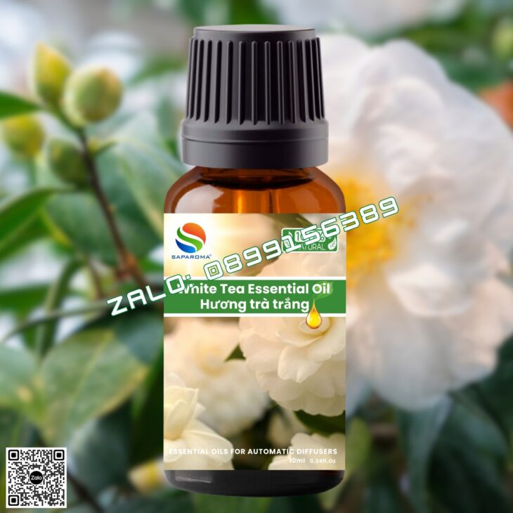 TINH DẦU XÔNG THƠM PHÒNG SAPAROMA 10ML, HỖ TRỢ KHỬ MÙI THƯ GIÃN GIẢM STRESS, XUA ĐUỔI MUỖI CÔN TRÙNG