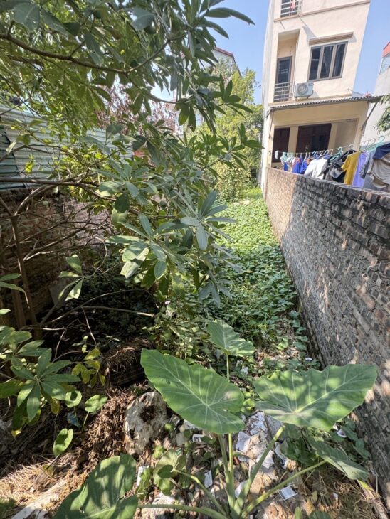 ĐẤT XÂY KINH DOANH – CHUNG CƯ MINI – ĐƯỜNG RỘNG Ô TÔ ĐỖ TRÁNH LONG BIÊN