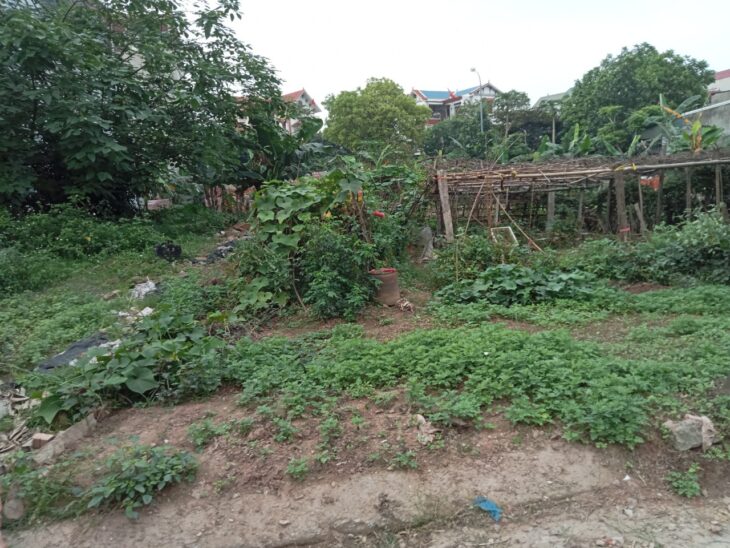 Dịch vụ Đồng Mai-Hà Đông, giá nhỉnh 5 tỷ