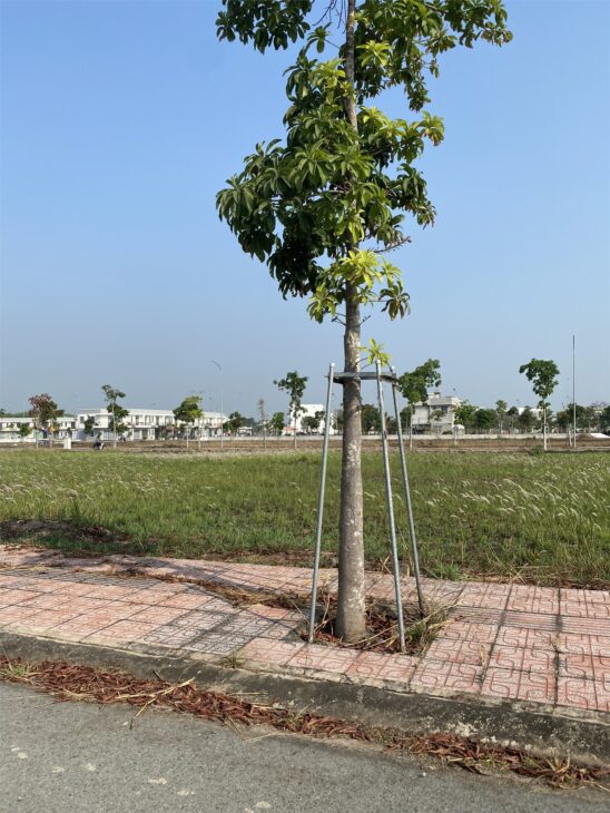 Cần Bán Đất An Điền, Cách Chợ Bến Cát 800 mét – 100m², Mặt Tiền 7m, Giá 1.05 Tỷ