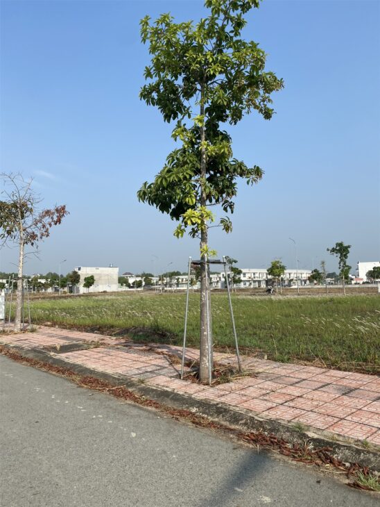 Cần Bán Đất An Điền, Cách Chợ Bến Cát 800 mét – 100m², Mặt Tiền 7m, Giá 1.05 Tỷ