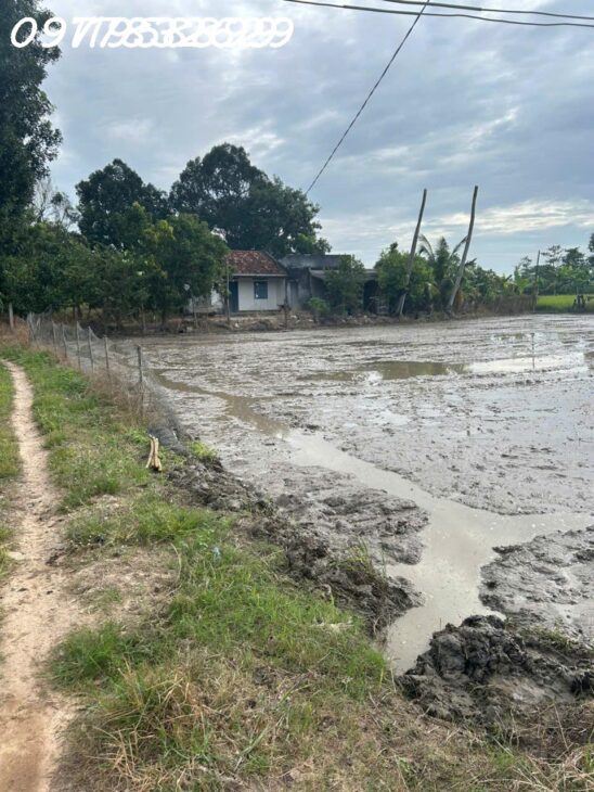 Bán gấp 2.8 sào đất ONT Tân An – TX LaGi giá ngộp View Sông Dinh