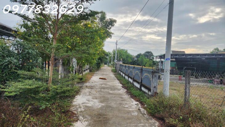 Bán 330m2 đất ONT Tân Phước – TX LaGi giá ngộp chỉ 950 triệu sổ hồng riêng