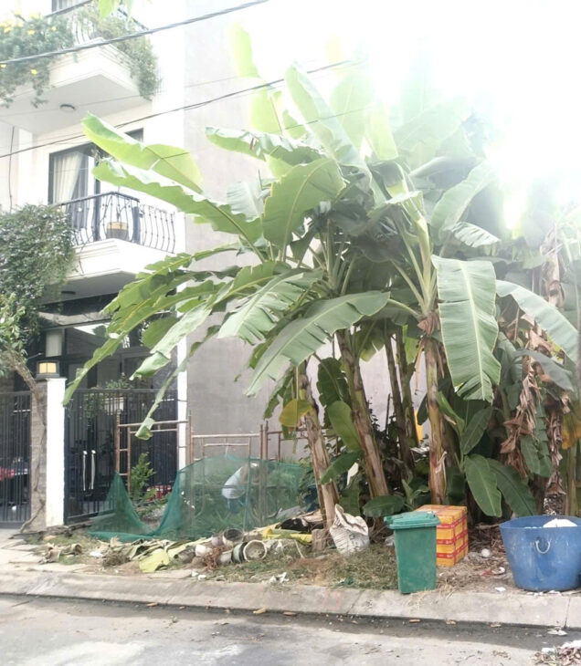 Bán Đất Quận 9, Đất P lô, Bưng ông Thoàn, DT 61m2, khu Xây dựng 3 lầu, chỉ 4ty hơn