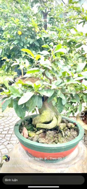 Bán Đất Quận 9, Đất P lô, Bưng ông Thoàn, DT 61m2, khu Xây dựng 3 lầu, chỉ 4ty hơn