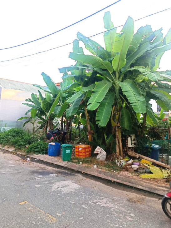 Bán Đất Quận 9, Đất P lô, Bưng ông Thoàn, DT 61m2, khu Xây dựng 3 lầu, chỉ 4ty hơn
