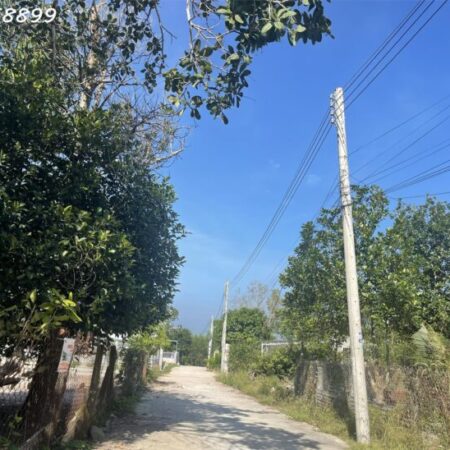 CHỈ 800 TRIỆU SỞ HỮU NGAY LÔ ĐẤT THỔ CƯ – TRUNG TÂM PHƯỜNG TÂN AN, LA GI!