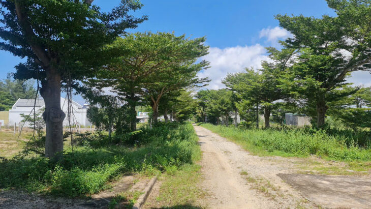 Bán đất KDC SGHT Tân Bình, thị xã LaGi giá rẻ nhất chỉ 1.1 tỷ