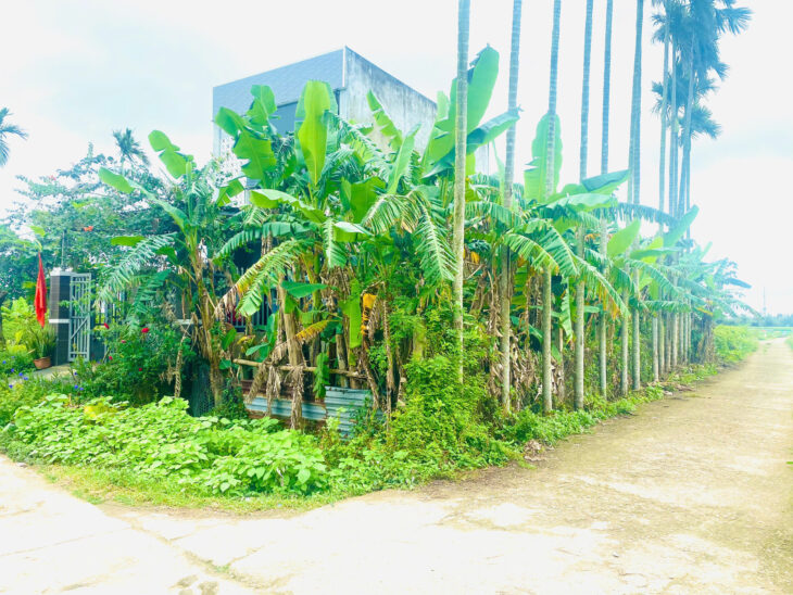 ????CƠ HỘI ĐẦU TƯ SINH LỜI – ĐẤT ĐẸP THANH AN, ĐIỆN HỒNG????