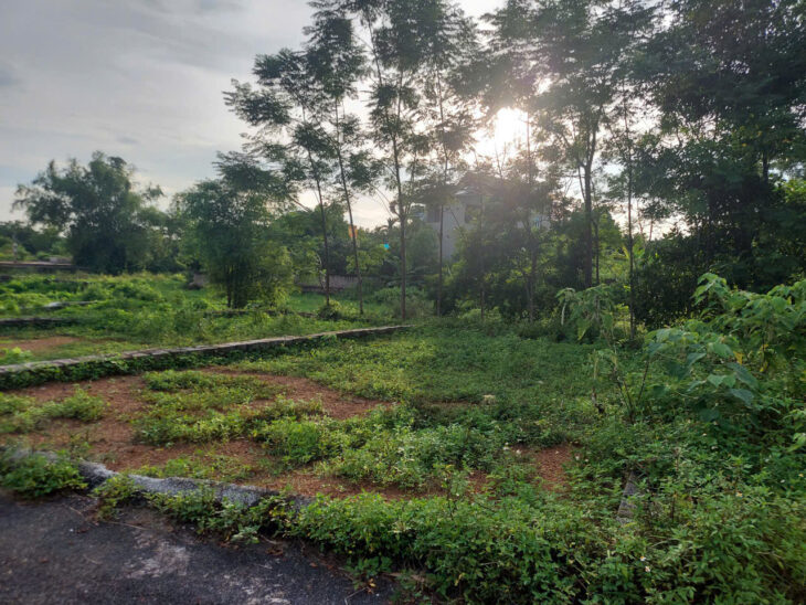 Cần bán gấp lô đất khu cánh chủ chỉ nhỉnh 2 tỷ