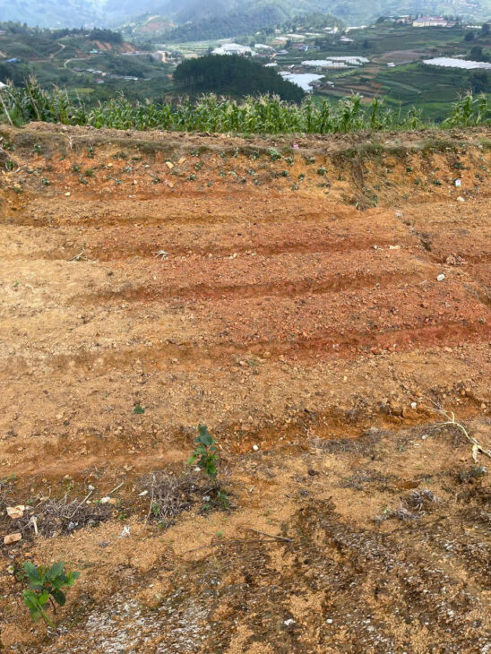 Đất nền tái định cư tại Sapa cần bán gấp, vị trí đẹp, view thung lũng, giá tốt để đầu tư.