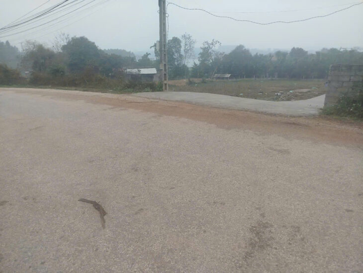 Cần bán nhanh đất view hồ ngay khu sinh thái hồ Phượng Mao Thanh Thuỷ, Thanh Sơn Phú Thọ