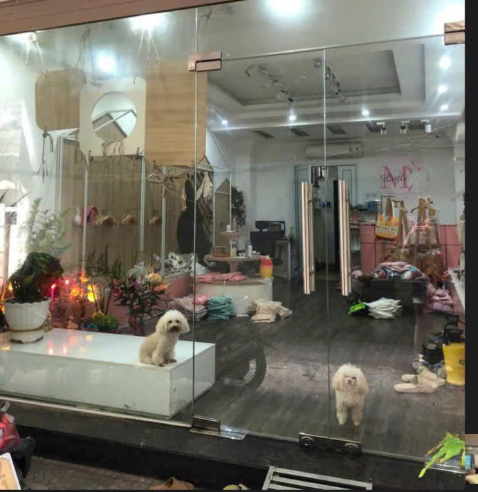 ????Nhà Phố Thái Hà. 52m2 x 6 Tầng. M/T 4.3. giá 22.5 Tỷ. Thang Máy. Ô Tô Quận Đống Đa????