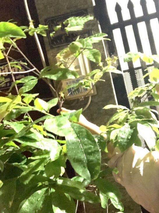 Nhà Đẹp 3 tầng, Xe Hơi Ngủ Trong nhà , DTsd 135m2, ở ngay, Thủ Đức, Giá chỉ 4y hơn