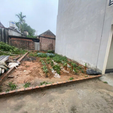 50m2 ĐẤT TRẠCH MỸ LỘC PHÚC THỌ HÀ NỘI giá bán 1 TỶ