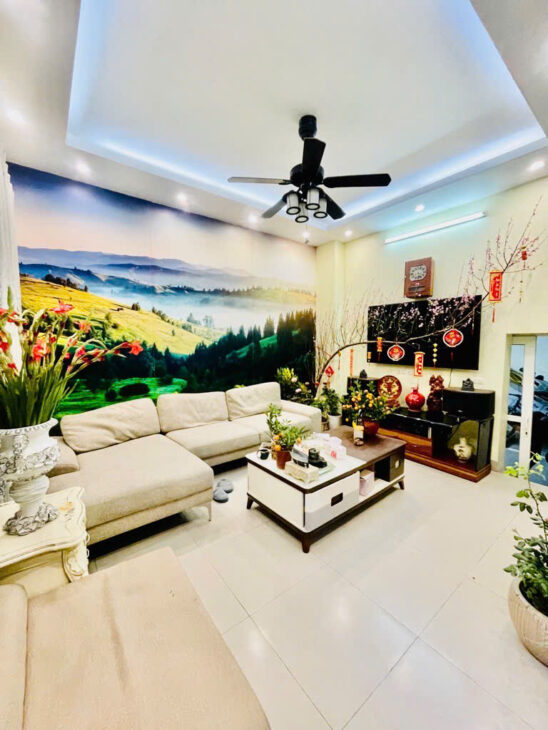 bán Biệt Thự Liền Kề Đại Thanh 56m, phân lô, ô tô tránh