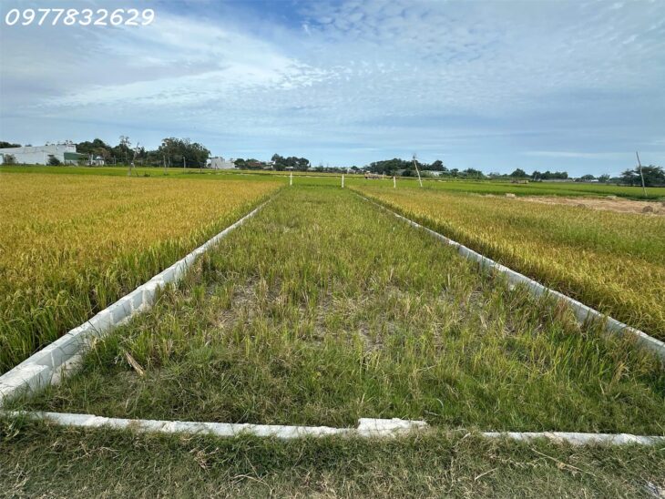 Chỉ 900 triệu lô đất 170m2 ODT Phường Phước Lộc – TX LaGI Sổ hông riêng