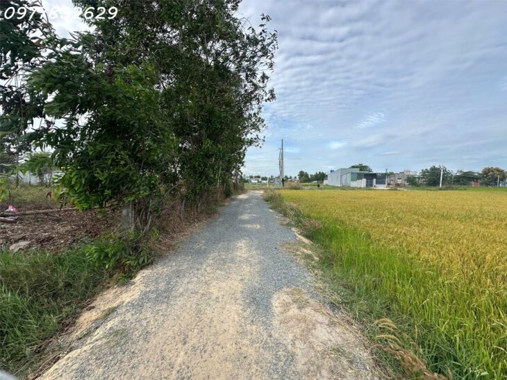 Chỉ 900 triệu lô đất 170m2 ODT Phường Phước Lộc – TX LaGI Sổ hông riêng