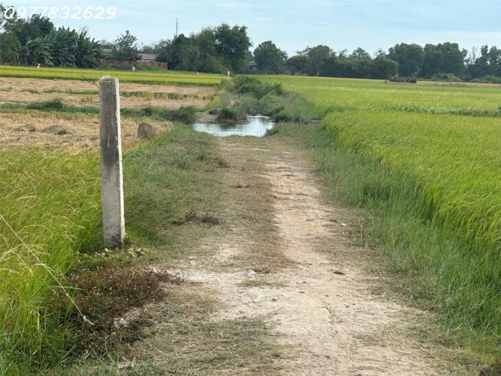 Chỉ 900 triệu lô đất 170m2 ODT Phường Phước Lộc – TX LaGI Sổ hông riêng