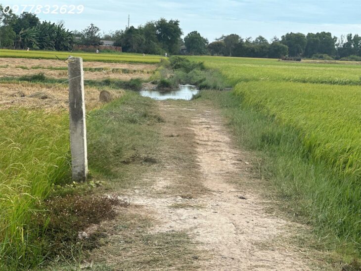 Chỉ 900 triệu lô đất 170m2 ODT Phường Phước Lộc – TX LaGI Sổ hông riêng