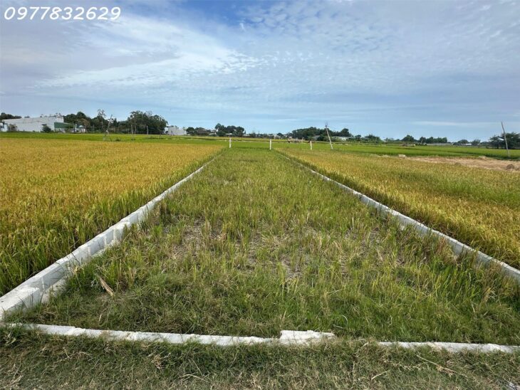 Chỉ 900 triệu lô đất 170m2 ODT Phường Phước Lộc – TX LaGI Sổ hông riêng