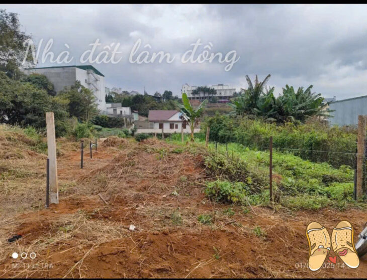 CHỈ 1 TỶ 300 TRIỆU SỞ HỮU NGAY 144.3M2 ĐÁT SỔ RIÊNG GẦN SÂN BAY LIÊN KHƯƠNG LIÊN NGHĨA ĐỨC TRỌNG