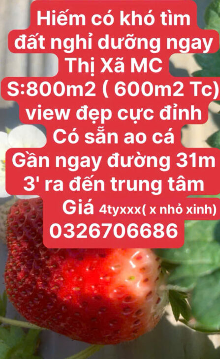 BÁN ĐẤT NỀN MỘC CHÂU GIÁ ĐẦU TƯ