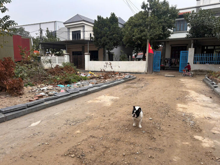 Cơ hội sở hữu lô đất đẹp nhất Đông Anh chỉ với hơn 3 tỷ