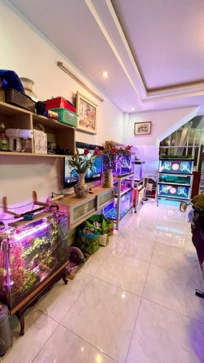 Hẻm Ôtô, Vew City, Nhà 4 Tầng, Gần Nguyễn Thị Thập Q7, 56M2, Chỉ 6.8Tỷ.