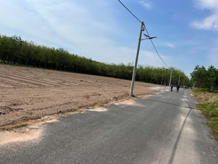 Bán đất ĐT 741, 1,26 tỷ, 339m2 tại Chánh Phú Hòa, Bến Cát, Bình Dương giá tốt