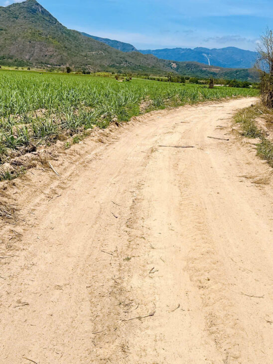 ĐẤT ĐẸP – GIÁ TỐT – Vị Trí Đắc Địa Tại Suối Mây, Quảng Sơn, Ninh Sơn, Ninh Thuận