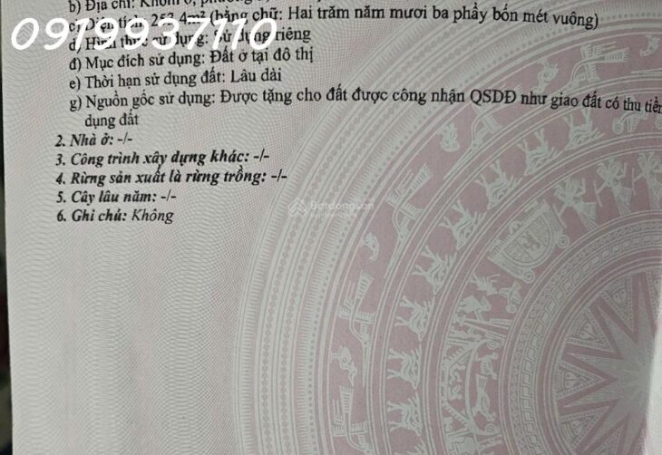Cho thuê nhà 9.9m x 25.6m mặt tiền đường Trần Hưng Đạo, Phường 5, TP Cà Mau