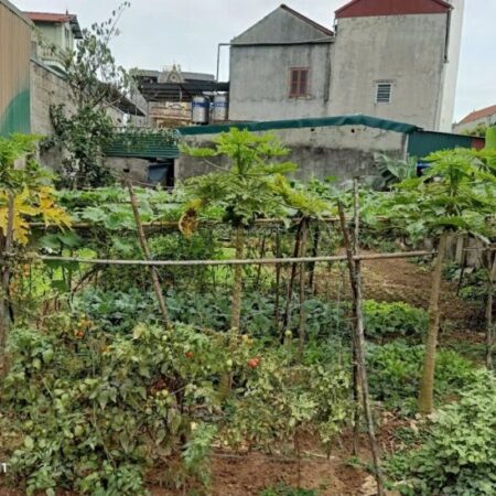 BÁN MẢNH ĐẤT 305M2, 16,5 TỶ CẠNH ĐẠI LỘ THĂNG LONG, BIGC TRẦN DUY HƯNG, CẦU GIẤY 10 PHÚT