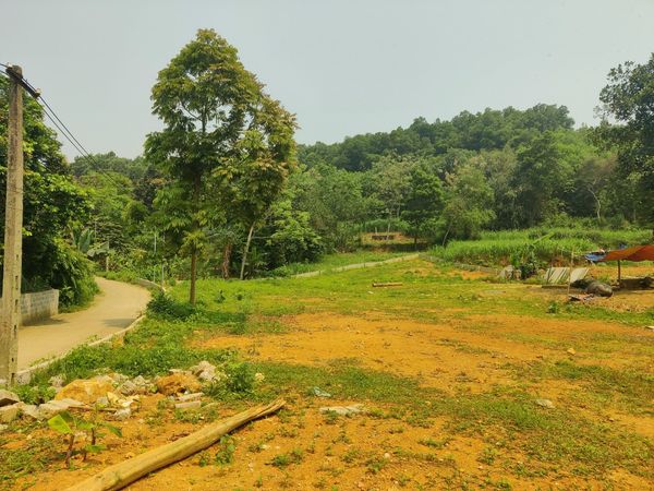 Bán mảnh đất xây nhà vườn nghỉ dưỡng, DT 1500m2 đẹp, thoáng, 2 mặt đường, mặt tiền 27m, có thể chia