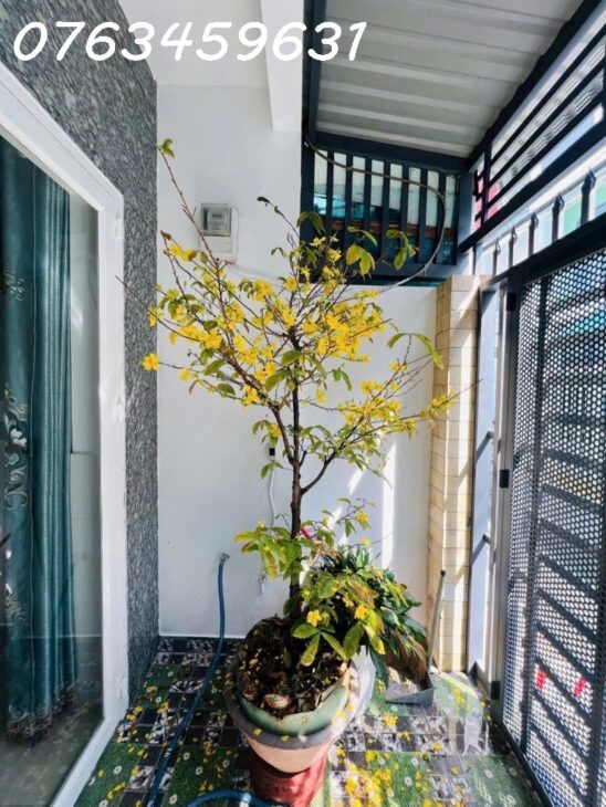 NTK-25.2-356 ????BÁN ngôi nhà MỪNG XUÂN MỚI – 2 TẦNG LÝ THÁNH TÔNG – DTSD 90 M2 GIÁ NHỈNH 4 TỶ????