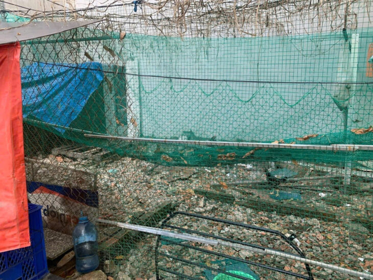 ĐẤT ĐẸP – NỞ HẬU – KHU VỰC QUỸ ĐẤT CÒN ÍT- ĐI BỘ ĐẾN SÂN BAY- CHỦ THIỆN CHÍ BÁN