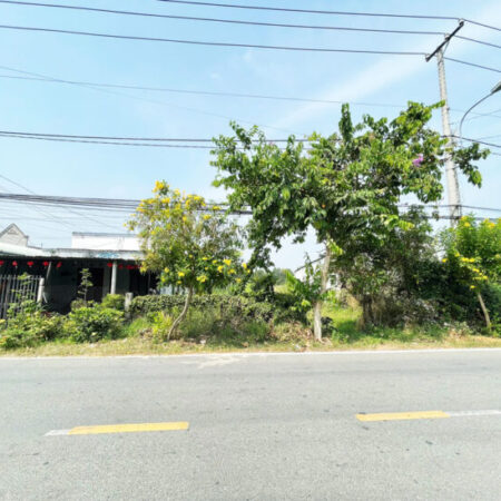 Bán đất 2 mặt tiền đường Đỗ Đăng Tuyển – 717m2 – 12×60 – 300m2 thổ cư – xã An Nhơn Tây – Củ Chi