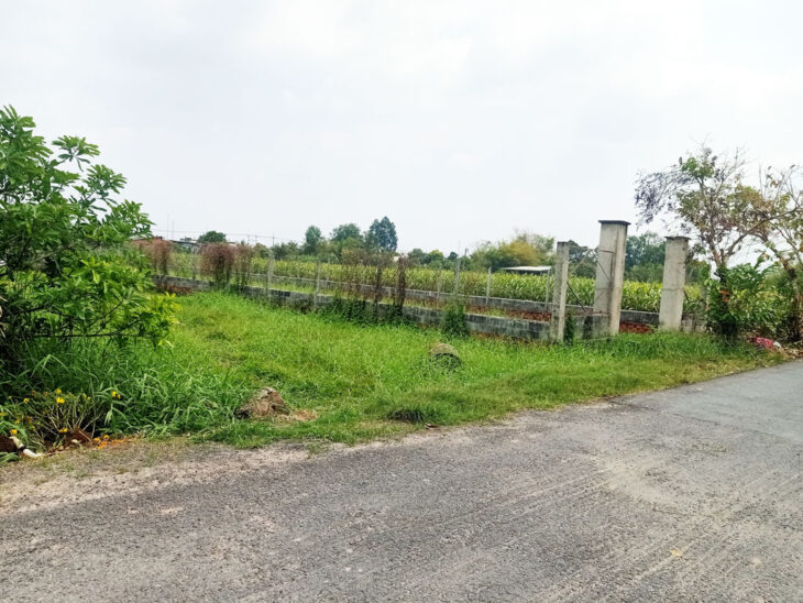 Bán đất thổ cư 784m² (11.5m x 64m), Nguyễn Thị Ngoạn, Trung Lập Thượng, Củ Chi, hướng Tây Bắc, 3.6