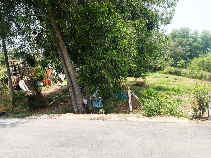 Bán đất đường 498 – 329m2 – 6×55 – 200m2 thổ cư – xã Phạm Văn Cội – Củ Chi