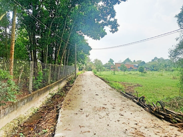 Bán nhà vườn 1/ đường Võ Văn Điều – 1000m2 – 40×39 cạnh 18m – 300m2 thổ cư – xã Phước Thạnh – Củ Chi