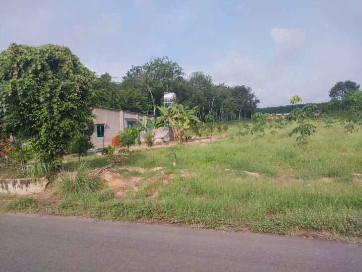 ĐÁT DẦU TIẾNG BÌNH DƯƠNG 300TR