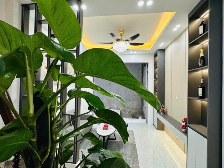 ???? Nhà đẹp, ở luôn, 30M 5 tầng ???? giá nhỉnh 7 tỷ