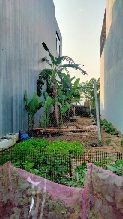 LÔ ĐẤT ĐẸP – DT 100M2, ĐƯỜNG 5M5 HÒA PHÚ 11, HÒA MINH, LIÊN CHIỂU – CHỈ 3.XXX TỶ