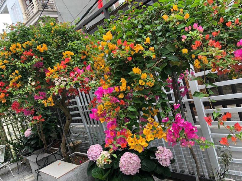 BÁN BIỆT THỰ SÂN VƯỜN LÔ GÓC – KHÔNG GIAN ĐẲNG CẤP TẠI THẠCH BÀN, LONG BIÊN • Địa chỉ: Thạch Bàn,