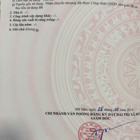 Chủ gửi lô góc hoa hậu tại thôn Cẩm Sơn xã Cẩm xá thị xã Mỹ hào
