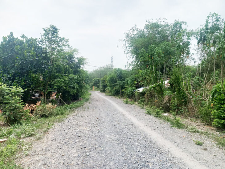 Bán đất 1/ đường Bùi Thị Điệt – 1000m2 – 20×50 – 160m2 thổ cư – xã Nhuận Đức – Củ Chi