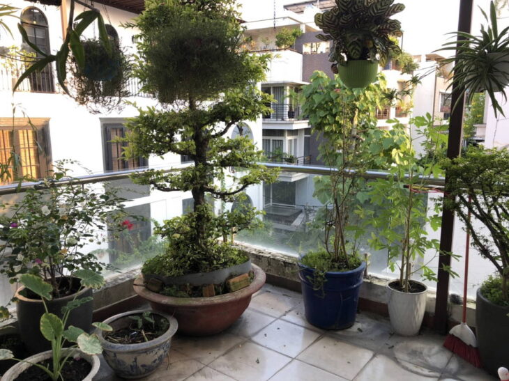 Biệt Thự Đẹp 5 tầng hiện đại Trung tâm Quận 3, 155m(8*20), chỉ 41 tỷ