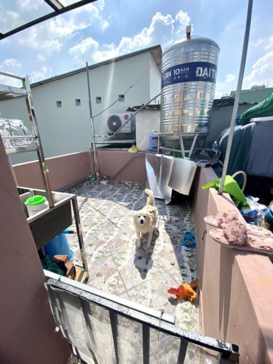 THÀNH MỸ – TÂN BÌNH – 3 TẦNG – 4 PN – NỞ HẬU – NHÀ MỚI – GIÁ 3.25 TỶ – CHỐT NGAY!