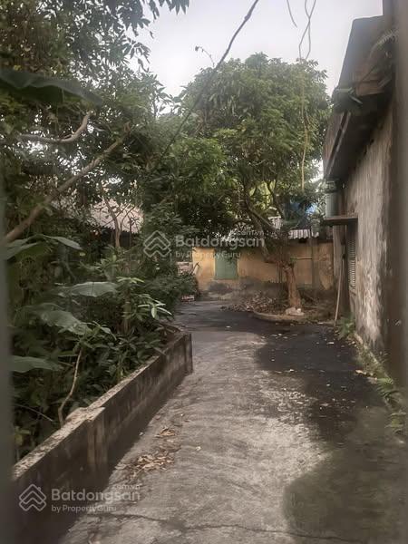 Bán đất tổ 13, TT. Quỳnh Côi, Quỳnh Phụ, Thái Bình diện tích 125m2 giá chỉ hơn 1 tỷ đường rộng 4.5m